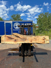 Live Edge Spalted Black Oak Slab 111 1/2"L x 18-20"W x 3"T